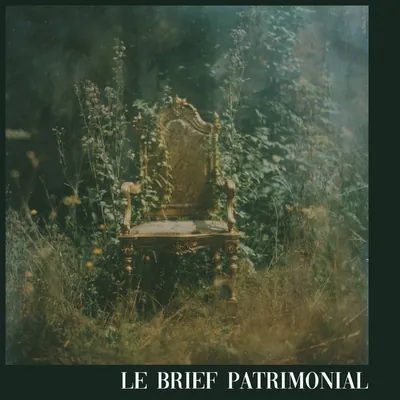 🌑 Miracle Négatif