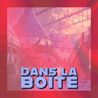 📦 Dans la boîte