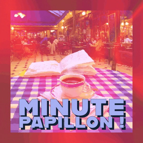 🛑 Minute, papillon !