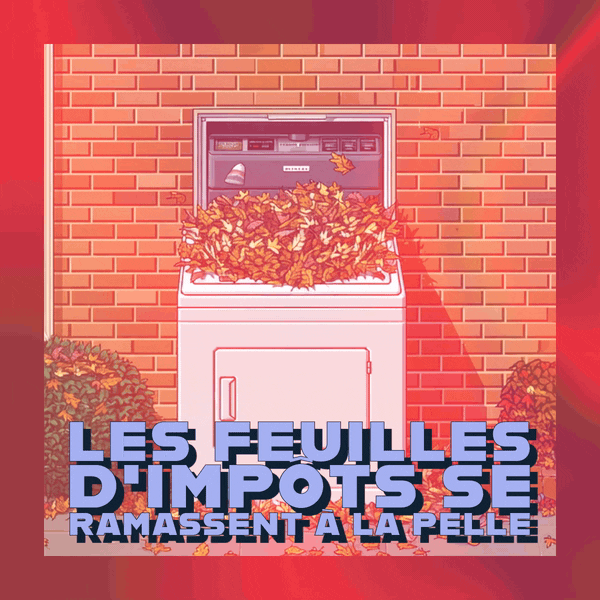 🍂 Les feuilles d'impôts se ramassent à la pelle